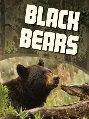 cover image of Black Bears